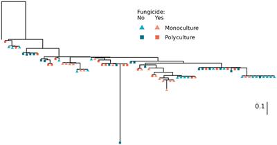 Plant community richness and foliar fungicides impact soil Streptomyces inhibition, resistance, and resource use phenotypes